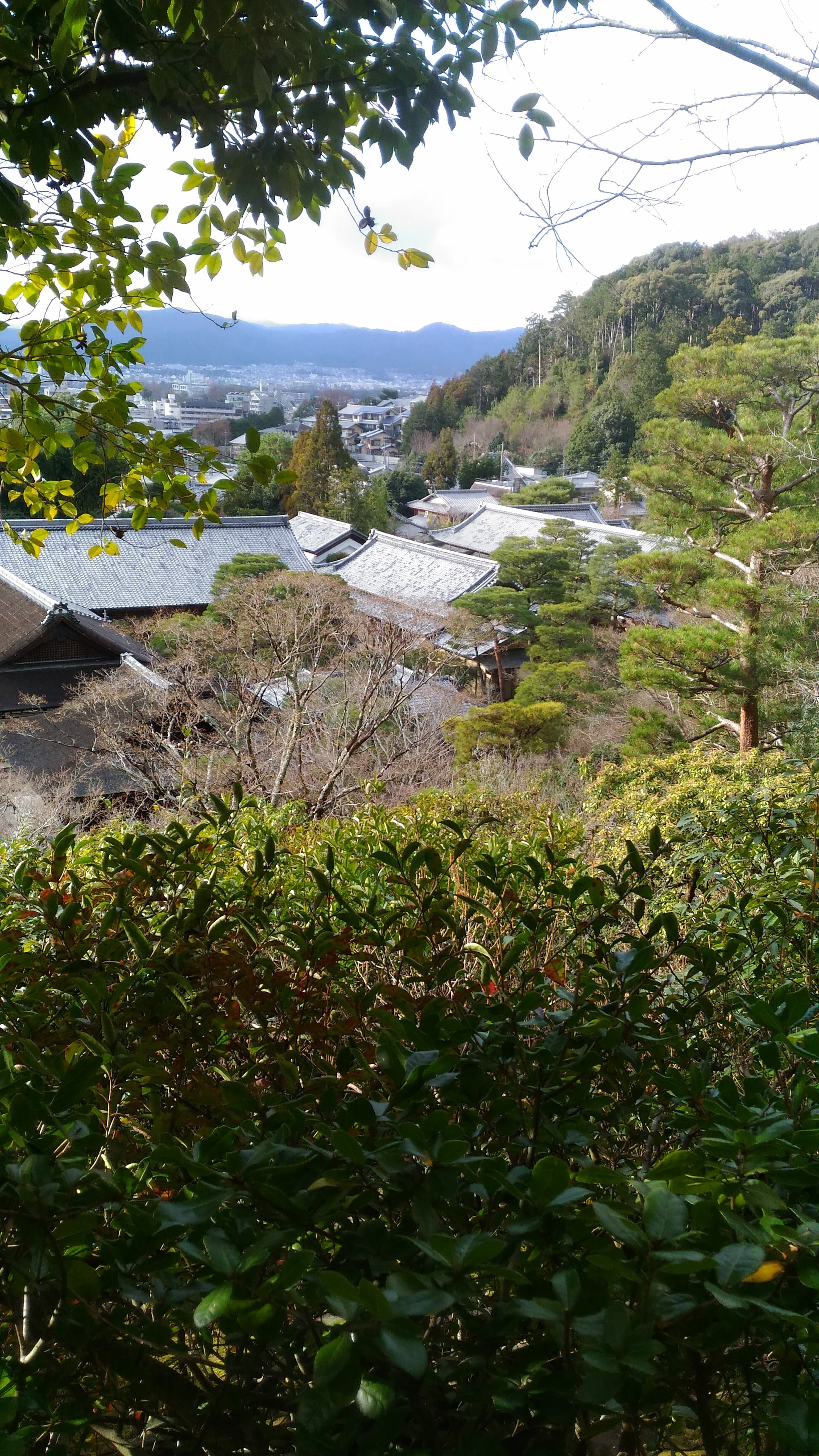 Le sommet du Ginkakuji